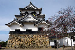 Замок Хикунэ